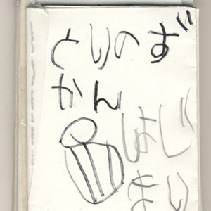 花ちゃん(5歳)「とりのずかん」